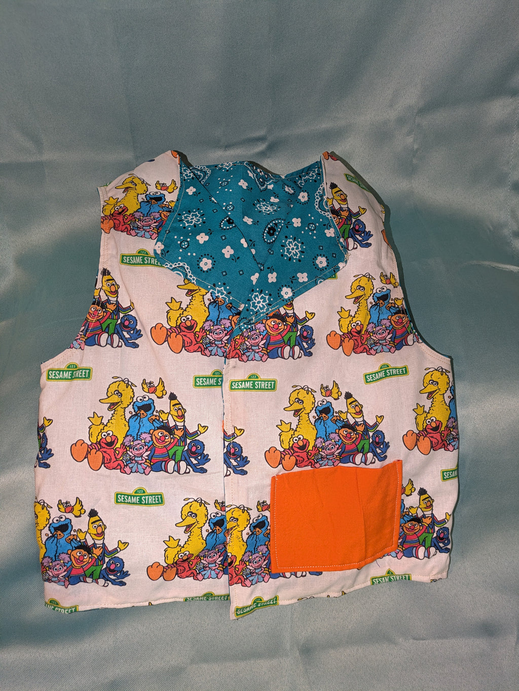 Sesame Street reversible Vest