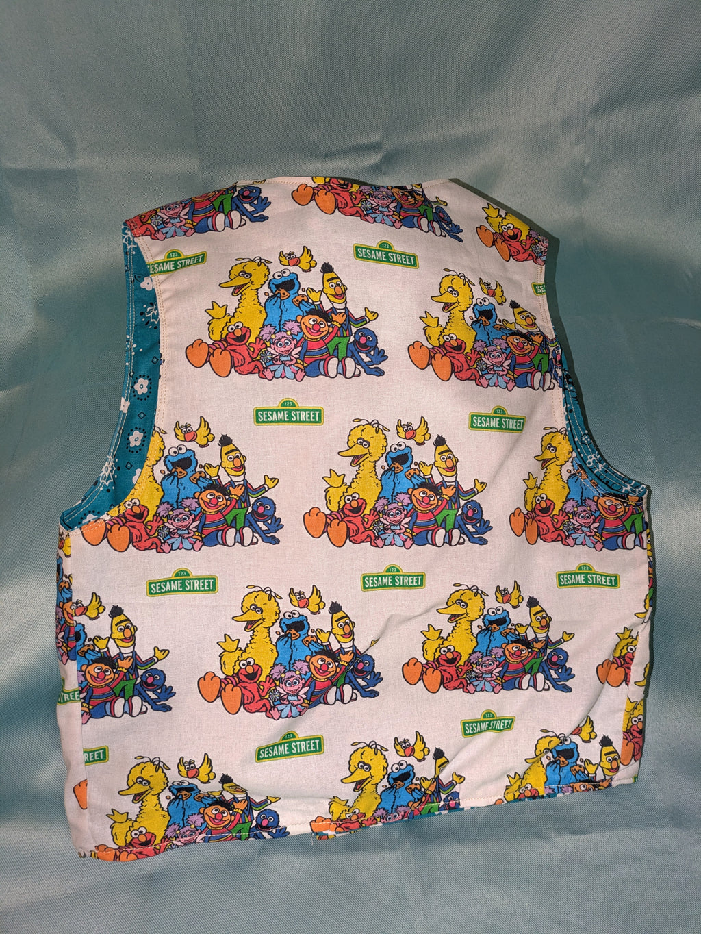 Sesame Street reversible Vest